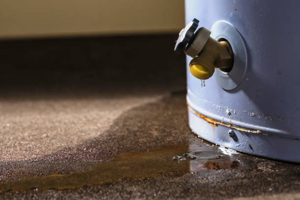 Best Sewage cleanup and water damage restoration  in Princeton, NJ