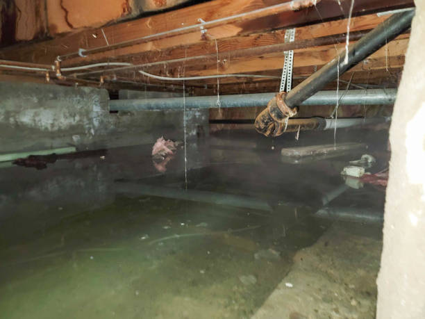 Best Water damage restoration mold remediation  in Princeton, NJ