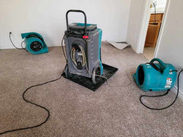 Best Flood damage cleanup  in Princeton, NJ