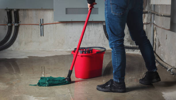 Best Ceiling water damage repair  in Princeton, NJ