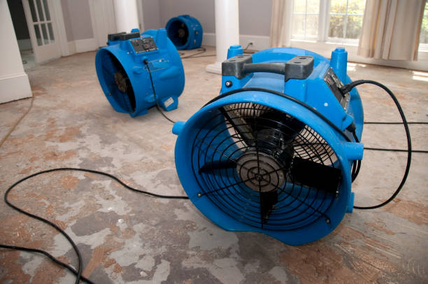 Best Carpet water damage restoration  in Princeton, NJ