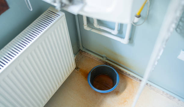 Best Professional water damage repair  in Princeton, NJ