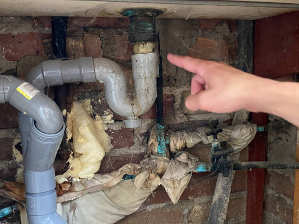 Best Carpet water damage restoration  in Princeton, NJ